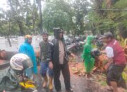 Pohon Tumbang Hambat Arus Lalu Lintas, Polsek Ujung Pandang Turun ke Lokasi